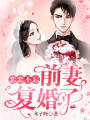 戀戀不忘：前妻，復婚了