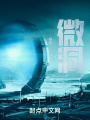 微洞