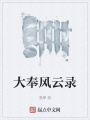 大奉風云錄