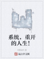 系統(tǒng)，重開(kāi)的人生！