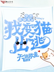 穿書成師尊后我變貓出逃