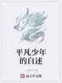 平凡少年的自述