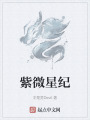 紫微星紀