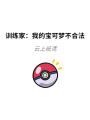 訓(xùn)練家：我的寶可夢不合法