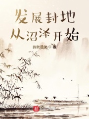 發展封地從沼澤開始