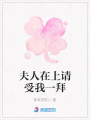 夫人在上請受我一拜