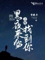 終在黑夜來(lái)臨之時(shí)找到你