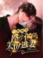 一胎兩寶：路少的天價逃妻