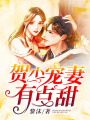 賀少寵妻有點甜