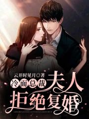 冷面總裁：夫人拒絕復婚