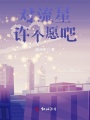 對流星許個愿吧