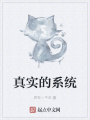 真實(shí)的系統