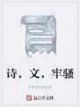詩(shī)，文，牢騷