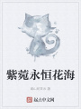 紫菀永恒花海