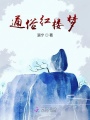 通俗紅樓夢(mèng)
