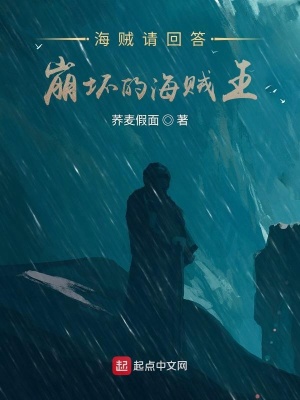 海賊請回答！崩壞的海賊王