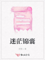 迷茫錦囊