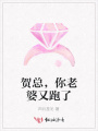 賀總，你老婆又跑了