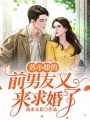 蘇小姐的前男友又來求婚了