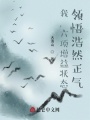 我，六項增益狀態，領悟浩然正氣