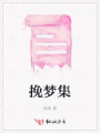 挽梦集
