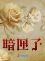 暗匣子