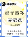 這個皇子不好惹