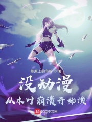 沒動漫，從木葉崩潰開始演