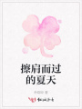 擦肩而過(guò)的夏天