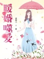 暖婚噬愛