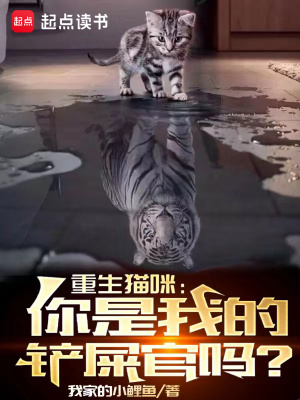 重生貓咪：你是我的鏟屎官嗎？