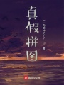 真假拼圖
