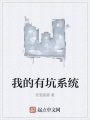 我的有坑系统