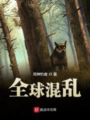 苏黎《全球混乱》小说章节目录免费阅读