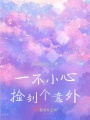 一不小心撿到個意外