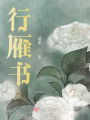 行雁書