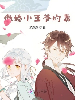 傲嬌小王爺的妻