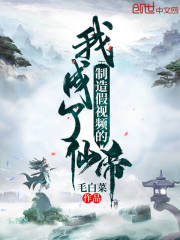 制造假視頻的我成了仙帝