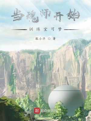 當魂師開始訓練寶可夢