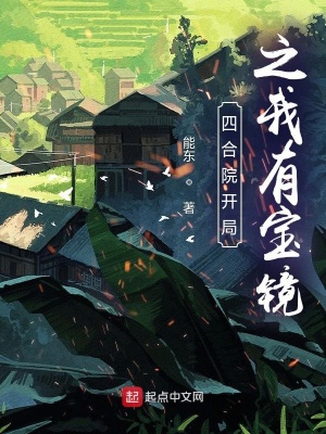 四合院開局之我有寶鏡