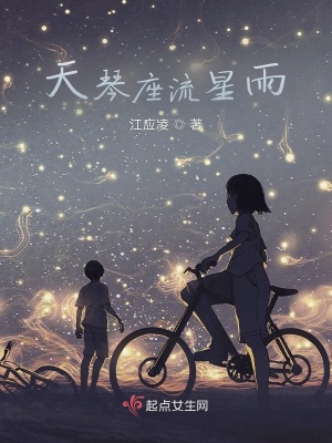 天琴座流星雨