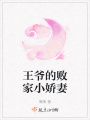 王爺的敗家小嬌妻