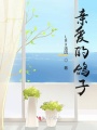 親愛(ài)的鴿子