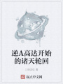 逆A高達開始的諸天輪回