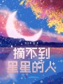 摘不到星星的人