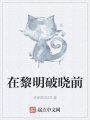 在黎明破曉前