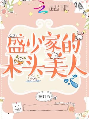 盛少家的木頭美人