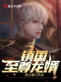 鎮國至尊龍婿