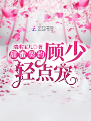 甜蜜契約：顧少，輕點寵