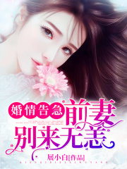 婚情告急：前妻，別來無恙